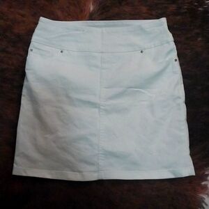 S.C. & C O. Skirt with liner size small
